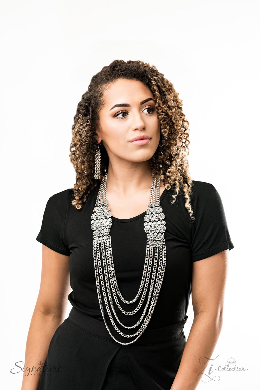 Paparazzi The Erika - 2019 Zi Collection Silver Necklace - A Finishing Touch
