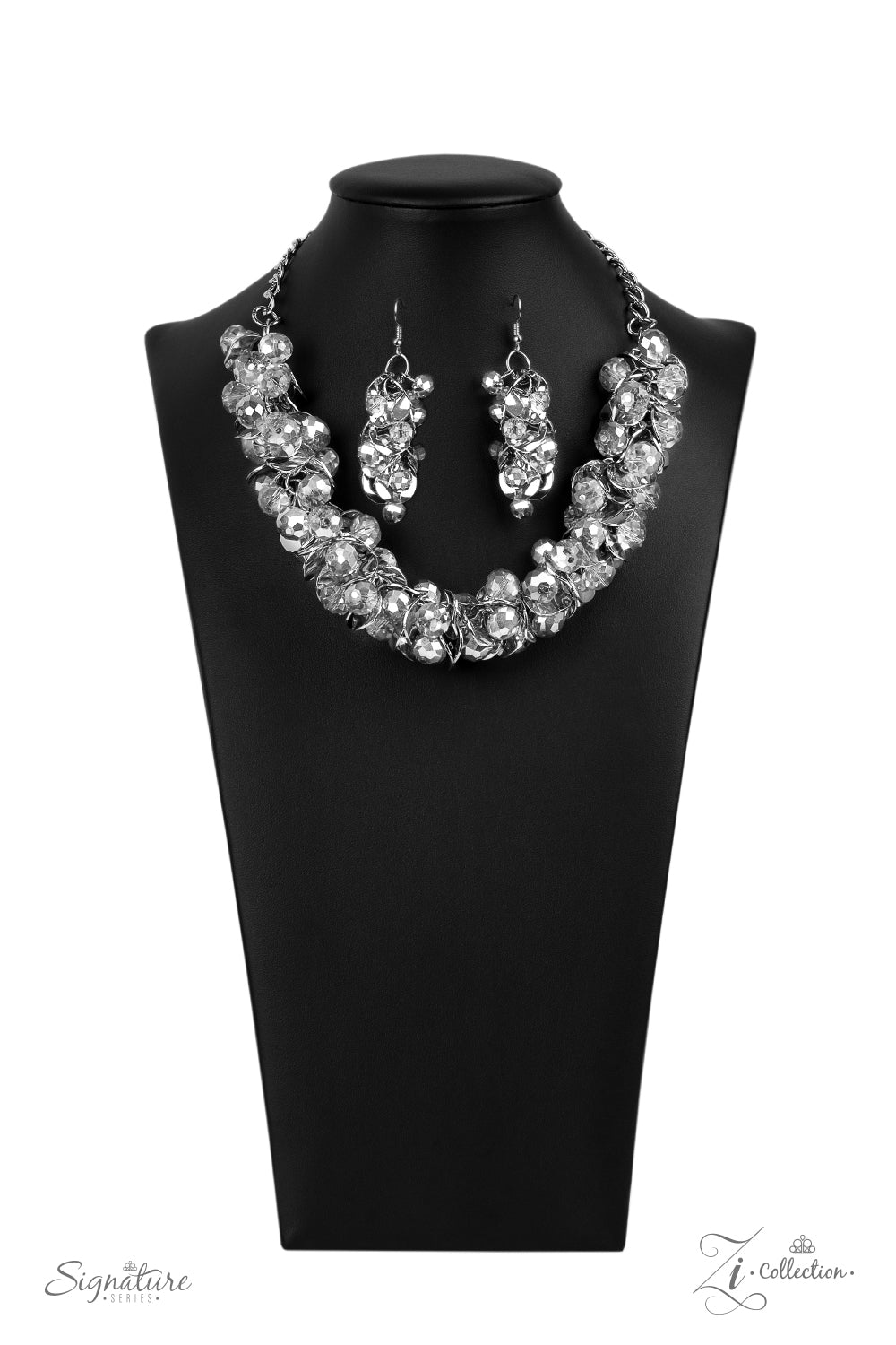 Paparazzi The Haydee - 2020 Zi Collection Silver Necklace - A Finishing Touch