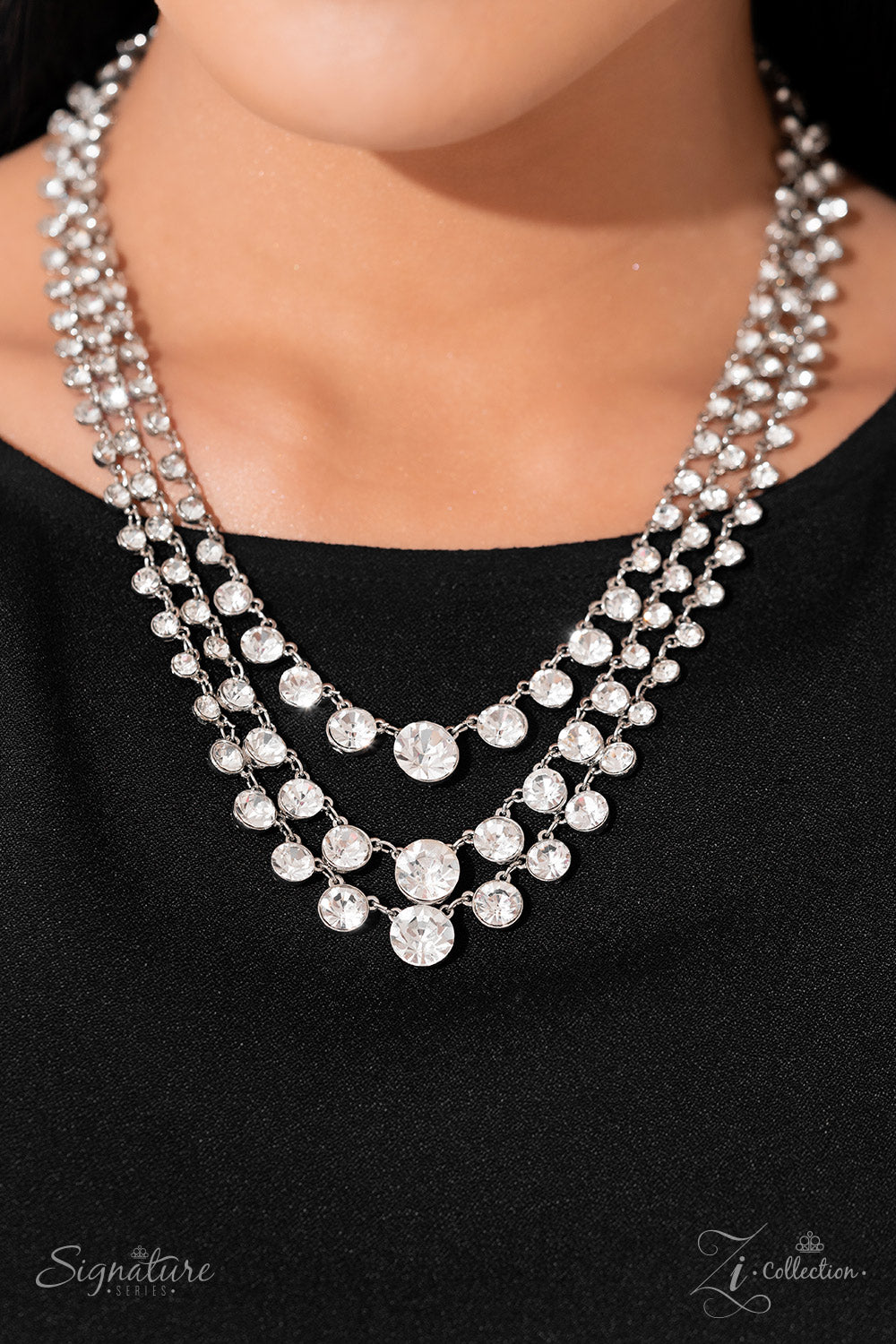 Paparazzi The Dana 2023 Zi Collection Necklace