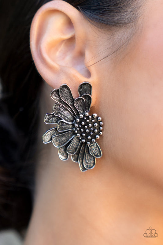 Paparazzi Farmstead Meadow - Silver Earrings - April 2022 Life Of The Party Exclusive - A Finishing Touch Jewelry